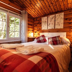 Welsh Retreat 2 Bedroom Log Cabin - Seren Property Trawsfynydd Exterior photo