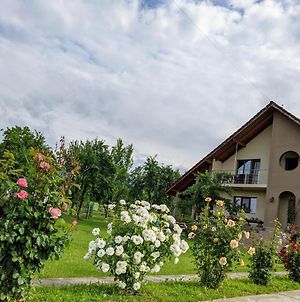 Casa Iulia Villa Calimanesti Exterior photo