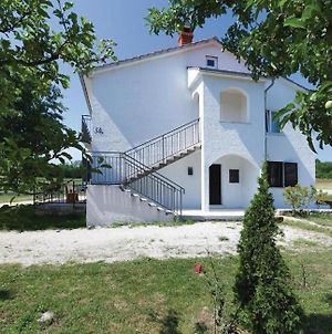 Apartment Frankovici Stara Vala - Tinjan Istra Exterior photo