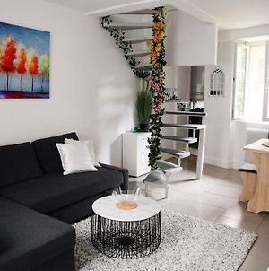Secret Garden - Duplex Moderne - Jardin - Netflix - Apartment Provins Exterior photo