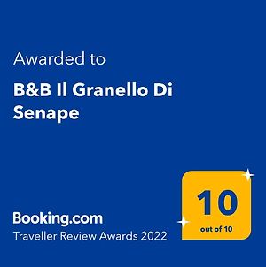 B&B Il Granello Di Senape Rome Exterior photo