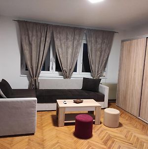 Fortuna Apartment Vrdnik Exterior photo