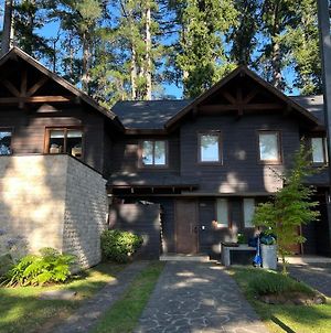 Pucon House - Lake Access & Near Ski Center Villa Exterior photo