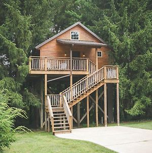 Lofty Willows Treehouse By Amish Country Lodging Villa Millersburg Exterior photo