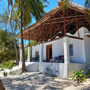 Blue Palm Zanzibar Bed & Breakfast Bwejuu Exterior photo
