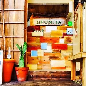 Guesthouse Opuntia Ishigaki  Exterior photo