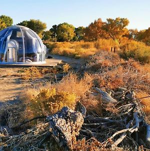 Route 66 Roy Roger'S Starry Bubble House Hotel Adelanto Exterior photo