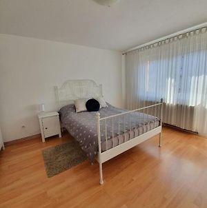Apartment Tibbi Velika Gorica Exterior photo