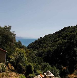 Leremo Rifugio Escursionistico 10 Minutes Steep Walk Villa Portofino Exterior photo
