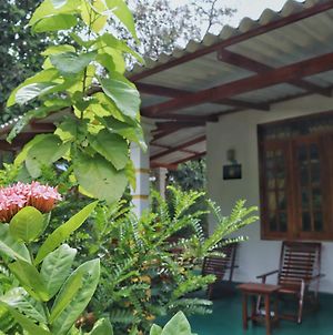 Flora Ravi Villa Sigiriya Exterior photo