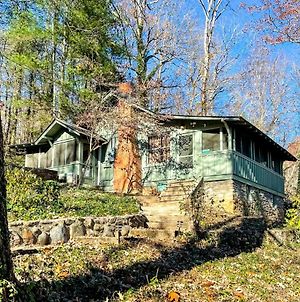 Charlotte'S Cabin Villa Waynesville Exterior photo