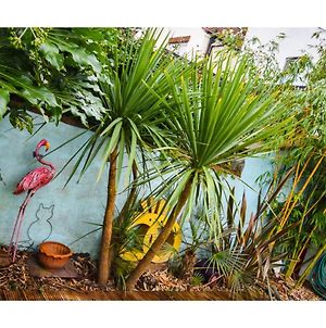 Colourful 3Bd Home With Garden In Southville Bristol Exterior photo