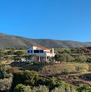 Gorgeous Private Villa With Sea View! Andros Island Exterior photo