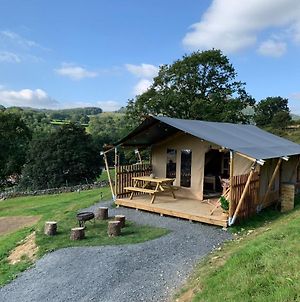 Glamping Lodge With Hot Tub In Heart Of Snowdonia Dolgellau Exterior photo