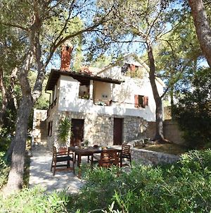 Villa Thalassina, 20 Metres By Sea, Osibova Bay, Milna, Brac Island, Croatia Milna  Exterior photo