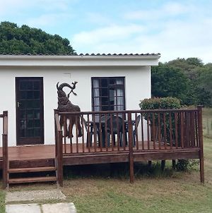 Faithlands Self-Catering Cottages Port Elizabeth Exterior photo