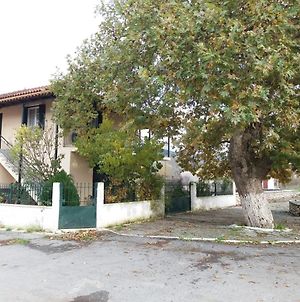 Galini Apartment Tripoli Exterior photo