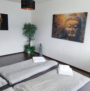 Buddha Na Sidlisku 2 Izbovy Byt Nedaleko Centra, 24H Self Checkin Apartment Banska Bystrica Exterior photo