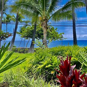 Your Hawaiian Tropical Garden View Studio - Kona Islander Inn Condos Condo Kailua-Kona Exterior photo