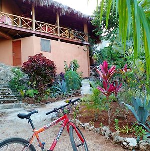3 Bedrooms House At Las Galeras 200 M Away From The Beach With Sea View Enclosed Garden And Wifi Exterior photo