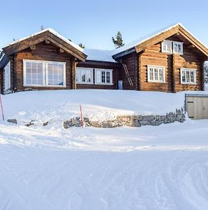 Awesome Home In Hovden I Setesdal With 7 Bedrooms And Wifi Exterior photo