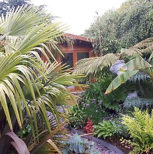 Cabin Set In A Beautiful Romantic Tropical Garden Sutton Coldfield Exterior photo