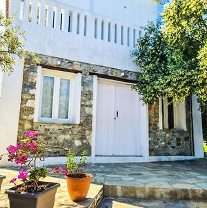 Lionaki House Villa Skopelos Town Exterior photo