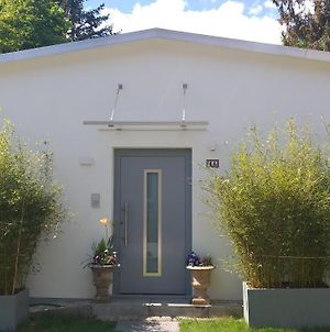 Gartenchalet Rotkehlchen Apartment Bad Homburg vor der Hoehe Exterior photo