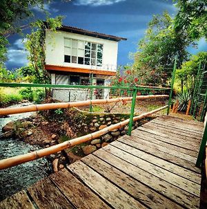 Rainforest Cabin In Escazu. Best Of Both Words Villa Exterior photo