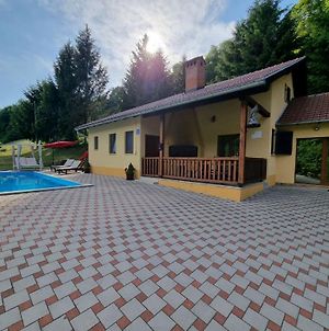 Vila Lasovic + Pool + Jacuzzi + Sauna Villa Tuhelj Exterior photo