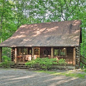 Serene Brevard Cabin About 7 Miles To State Forest! Exterior photo