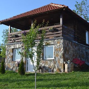 Zlatibor Cottages Exterior photo