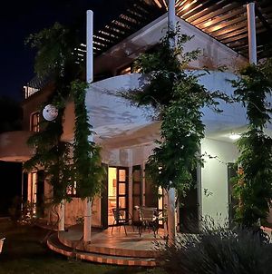 Green Villa In Olives Bar Exterior photo
