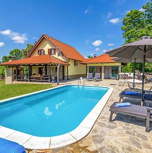Beautiful Home In Lovinac With Jacuzzi, Sauna And Outdoor Swimming Pool Lovinac (Lika-Senj) Exterior photo