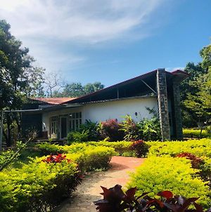 The Tamarai Yelagiri Villa Exterior photo