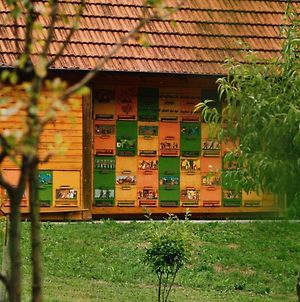 Holiday Home In Mokronog - Kranjska Krain 42894 Exterior photo