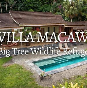 Luxury Villa Macaw Pool House With Fiberop And Oceanviews Punta Uva Exterior photo