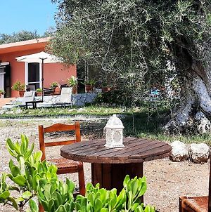Chara'S Holiday Home In South Corfu Neochorakion Exterior photo