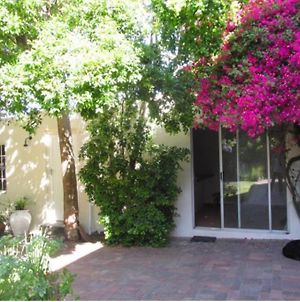 Home On Uitvlugt - Peaceful Leafy Garden Flat With Sunny Lounge Cape Town Exterior photo
