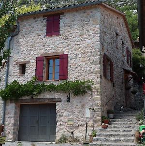 Maison Chasteuil Castellane Exterior photo