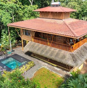 Casa Canopy Pool House 4Wd Required Punta Uva Exterior photo