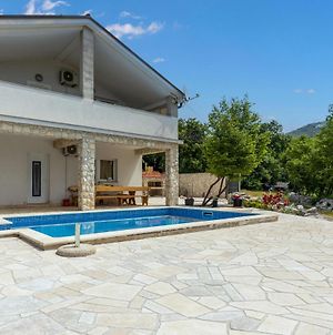 Stunning Home In Ledenice With 4 Bedrooms, Wifi And Outdoor Swimming Pool Exterior photo