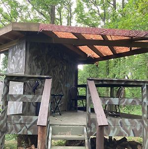 Unique Off Grid Tree-House Stay Longhope Exterior photo
