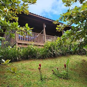 Private Mountaintop Cabin In Carara Biological Corridor 20 Minutes To Beaches Villa Exterior photo