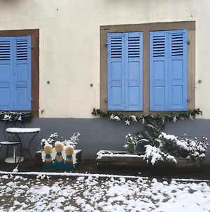 Les Volets Bleus Apartment Sainte-Marie-aux-Mines Exterior photo