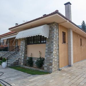 Βίλα Για Όλες Τις Εποχές Του Χρόνου Villa Kozani Exterior photo