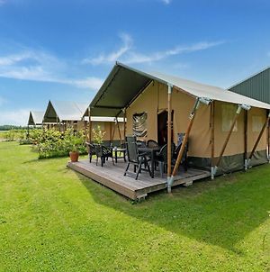 Attractive Tent Lodge In Zwiggelte With Garden Exterior photo
