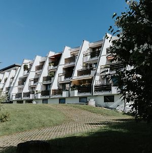 Rosenalm Scheidegg Apartment Exterior photo