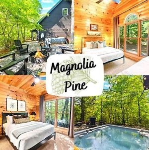 Magnolia Pine With Hot Tub And Mountain Views Villa Bryson City Exterior photo