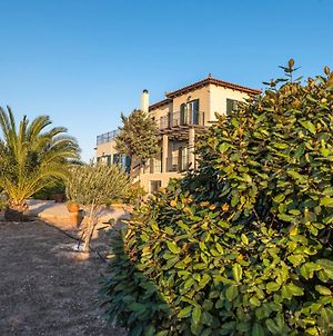 Marfaia - Villa By The Sea Agioi Exterior photo
